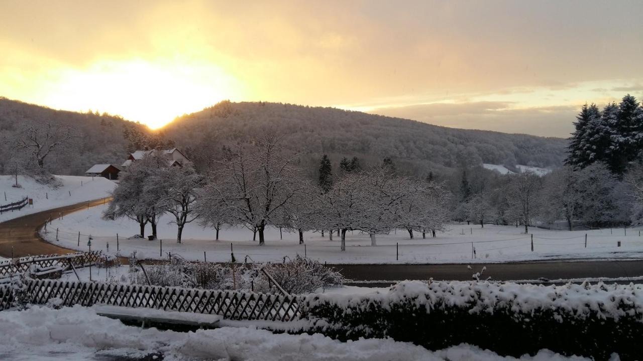 Landgasthof Gruener Baum Badenweiler Kültér fotó